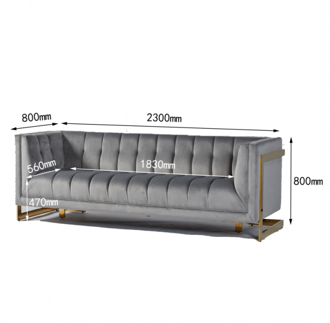 Il tessuto del velluto ha trapuntato il salone moderno Sofa With Hallow Metal Legs 3